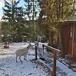 Lesni V Male Hrastici, Zazitek Klidu V Prirode Ferienhaus