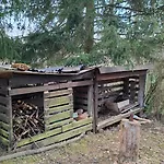 Lesni V Male Hrastici, Zazitek Klidu V Prirode *