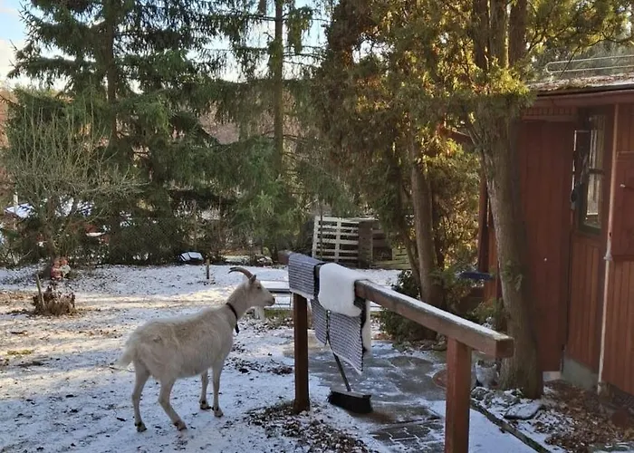 Lesni V Male Hrastici, Zazitek Klidu V Prirode Tatil Evi